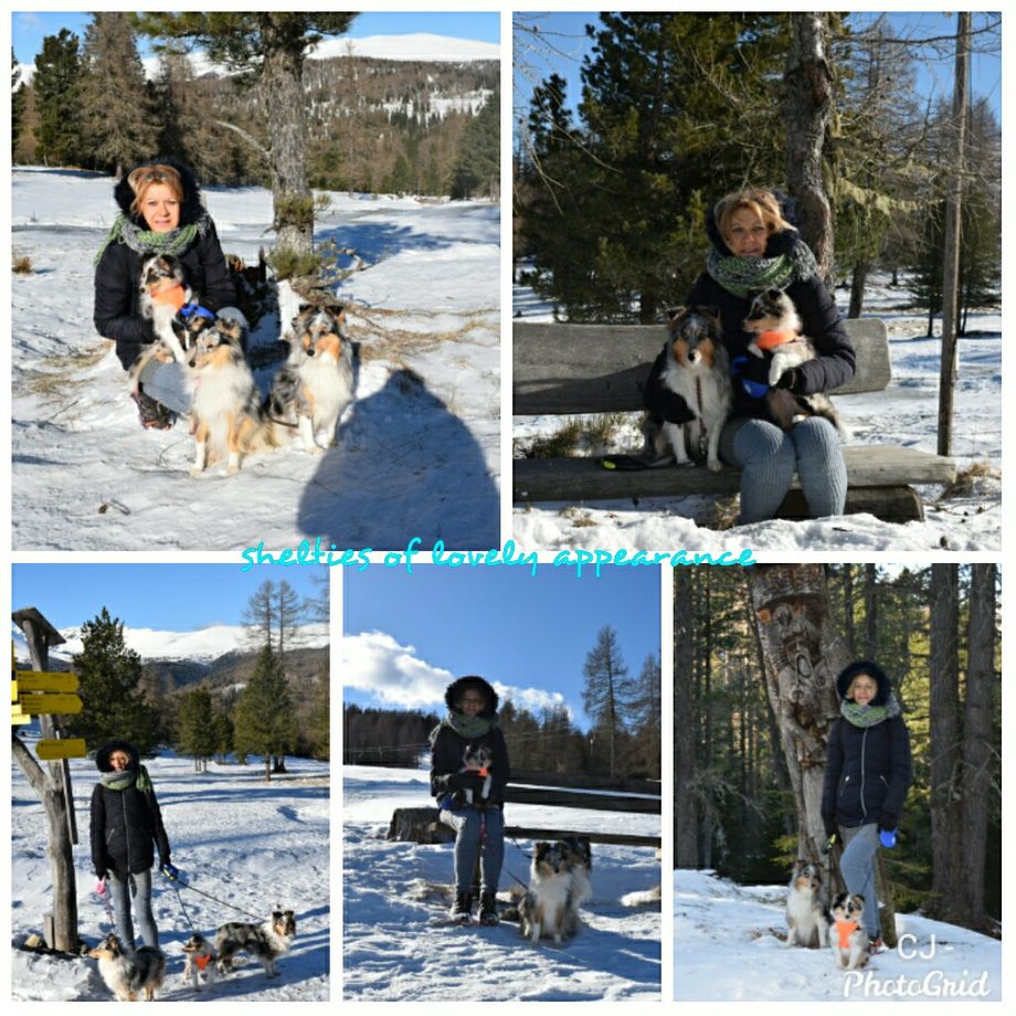 Winterimpressionen Hochrindl