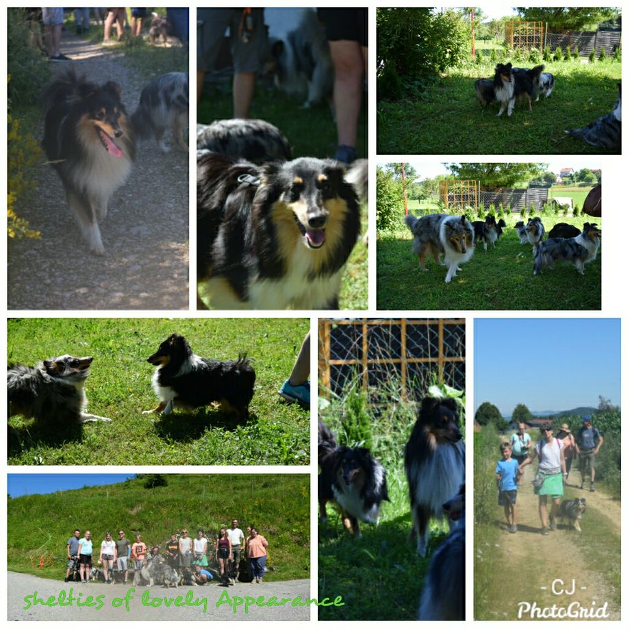 Die Lovelys waren wandern. Aus geplanten 1 1/2 wurden 3 1/2  Stunden Wanderzeit😅Alle haben es heil überstanden und bei einer guten Brettljause mit anschließendem Kaffee und Kuchen die gemeinsame Zeit genossen. Habe mich sehr über Euer Kommen gefreut😙