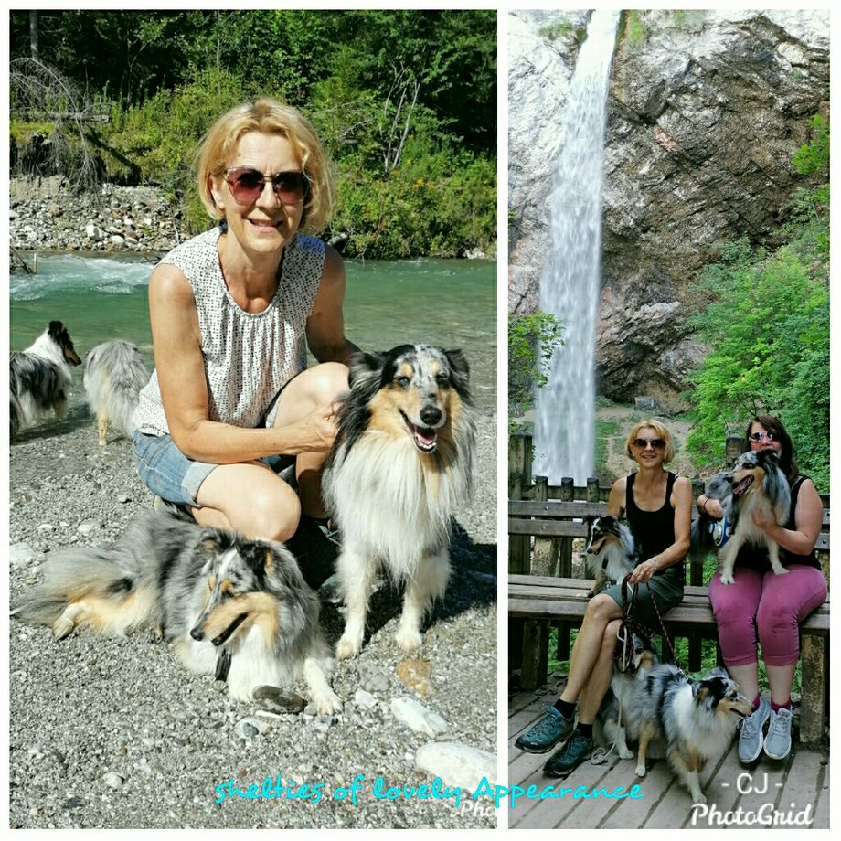 28.7.20
A blue Star of lovely Appearance kommt aus Deutschland zu Besuch. Wir freuen uns riesig, dass er mit seinem Frauchen die weite Fahrt gemacht hat und einige Tage mit uns verbringt😚
Links im Bild: Mama Rose