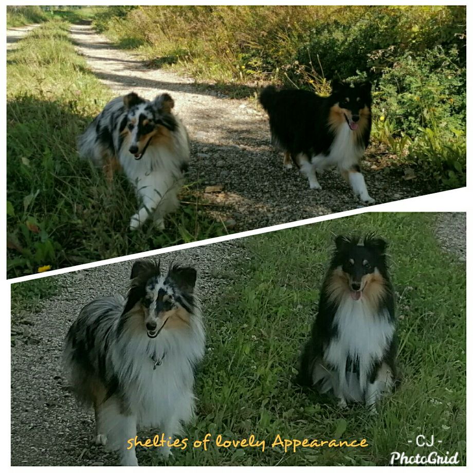 August 2020
Delicious Toffee of lovely Appearance hat uns besucht. Wir haben den Mittag mit ausgiebigen Spaziergängen verbracht. Habe mich sehr über Euren Besuch gefreut😙