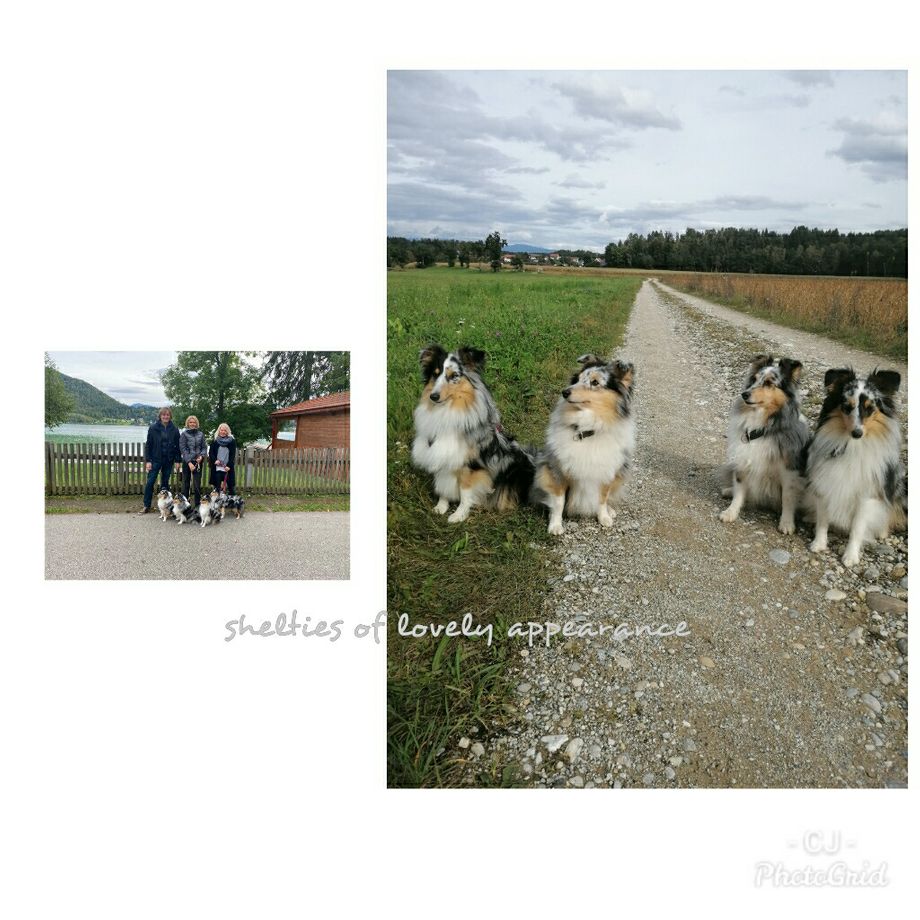 Wir haben einen wunderschönen Nachmittag mit Desert blue Rose of lovely Appearance verbracht. Vielen Dank für Euren Besuch. Habe mich sehr gefreut!😍