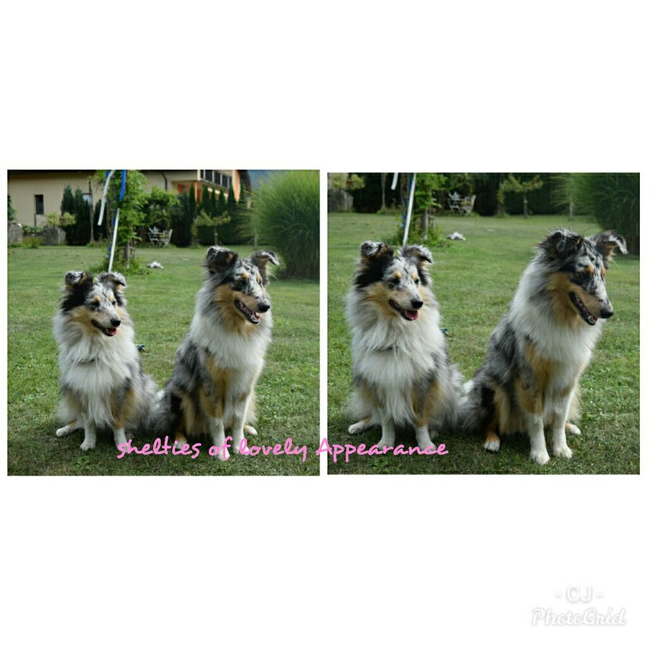 August 2021 Extremely adorable of lovely Appearance hat uns besucht😍vielen lieben Dank für den schönen Mittag. Leider vergingen die Stunden viel zu schnell. Weiterhin alles Gute mit der süssen Maus!