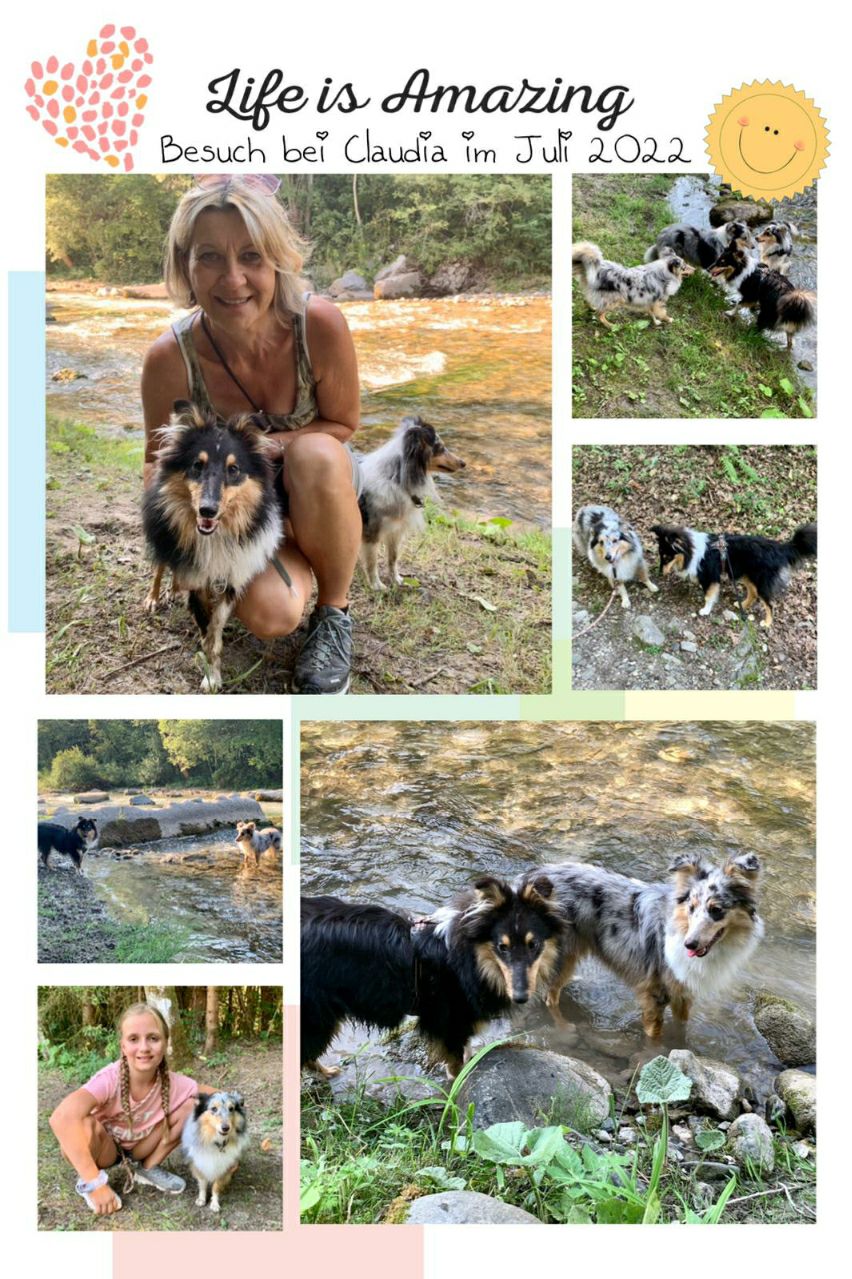 Fighter for Life kommt mit seiner neuen Familie zu Besuch und wir hatten sehr schöne gemeinsame Stunden. Er hat sich prächtig entwickelt. Vielen lieben Dank für die hübsche Collage!